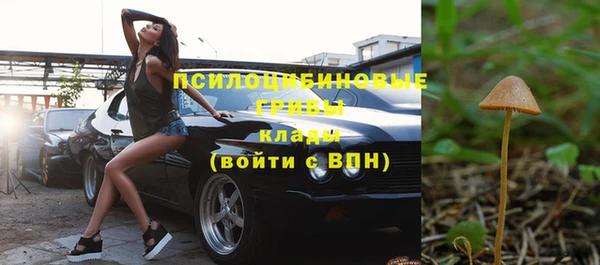 хмурый Бородино