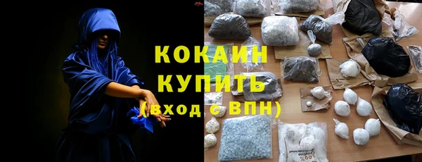 хмурый Бородино