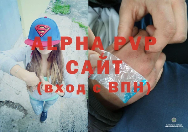 хмурый Бородино
