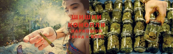 хмурый Бородино