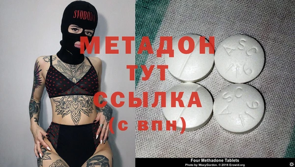 прущие грибы Сосновка