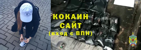 хмурый Бородино