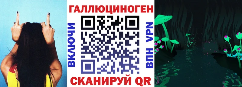 Галлюциногенные грибы Psilocybine cubensis  Новохопёрск 